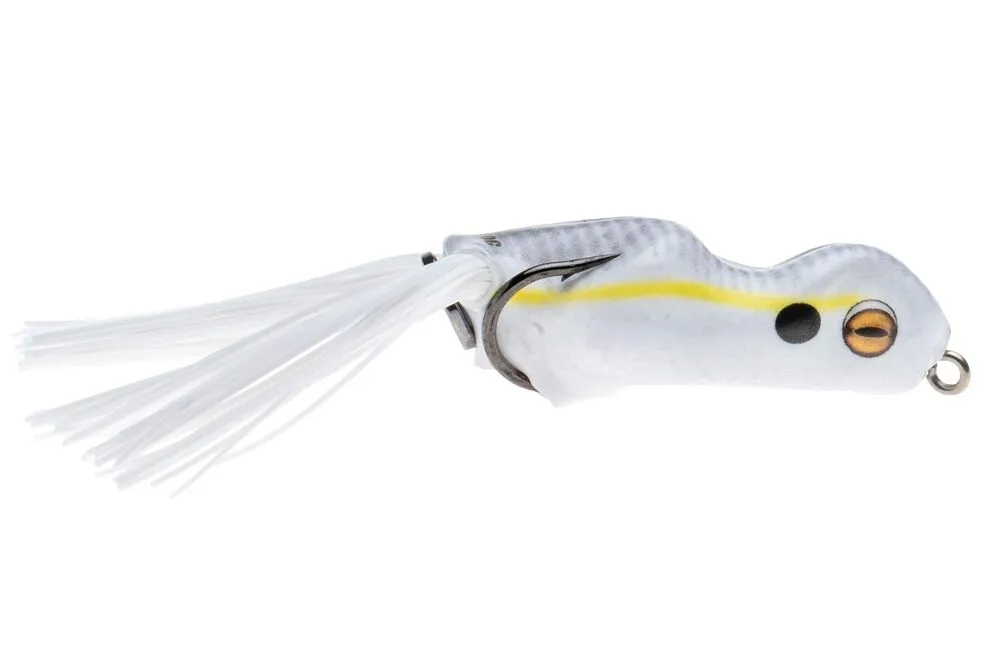 Painted Trophy Series