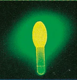 STARLITE AMPOULE SL-11