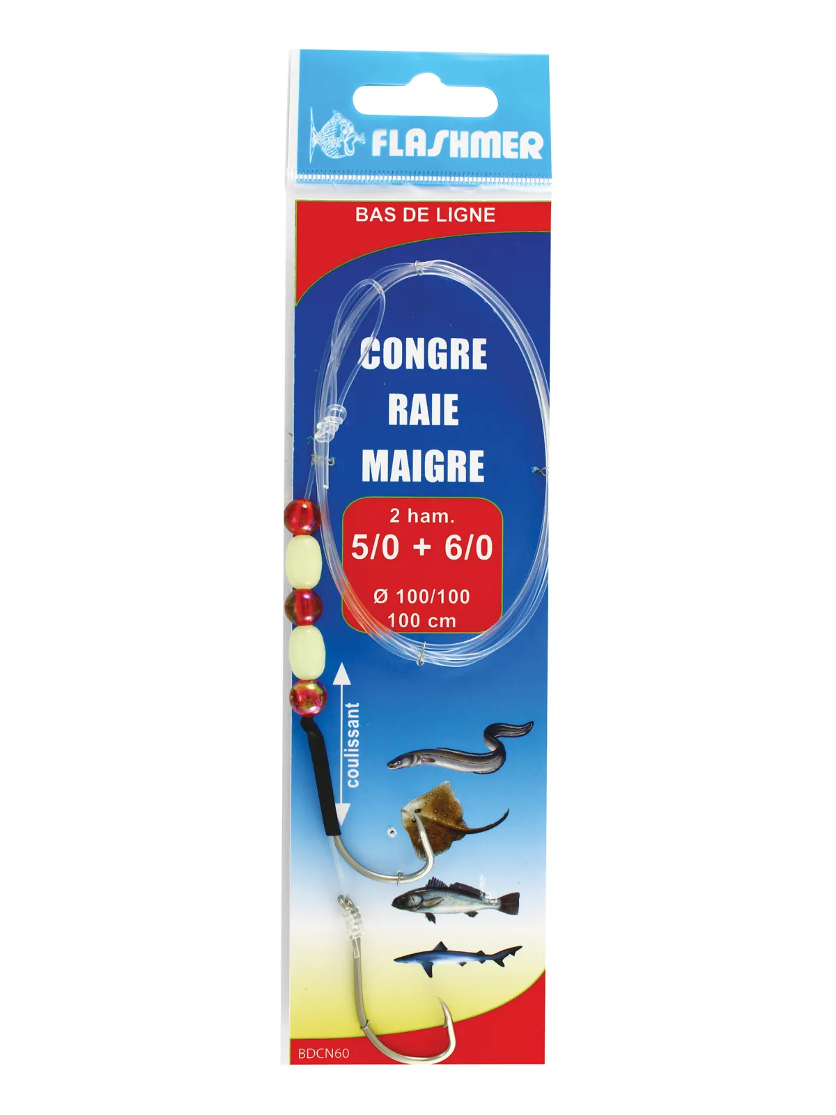 RIG: CONGRE, MEAGRE RAY