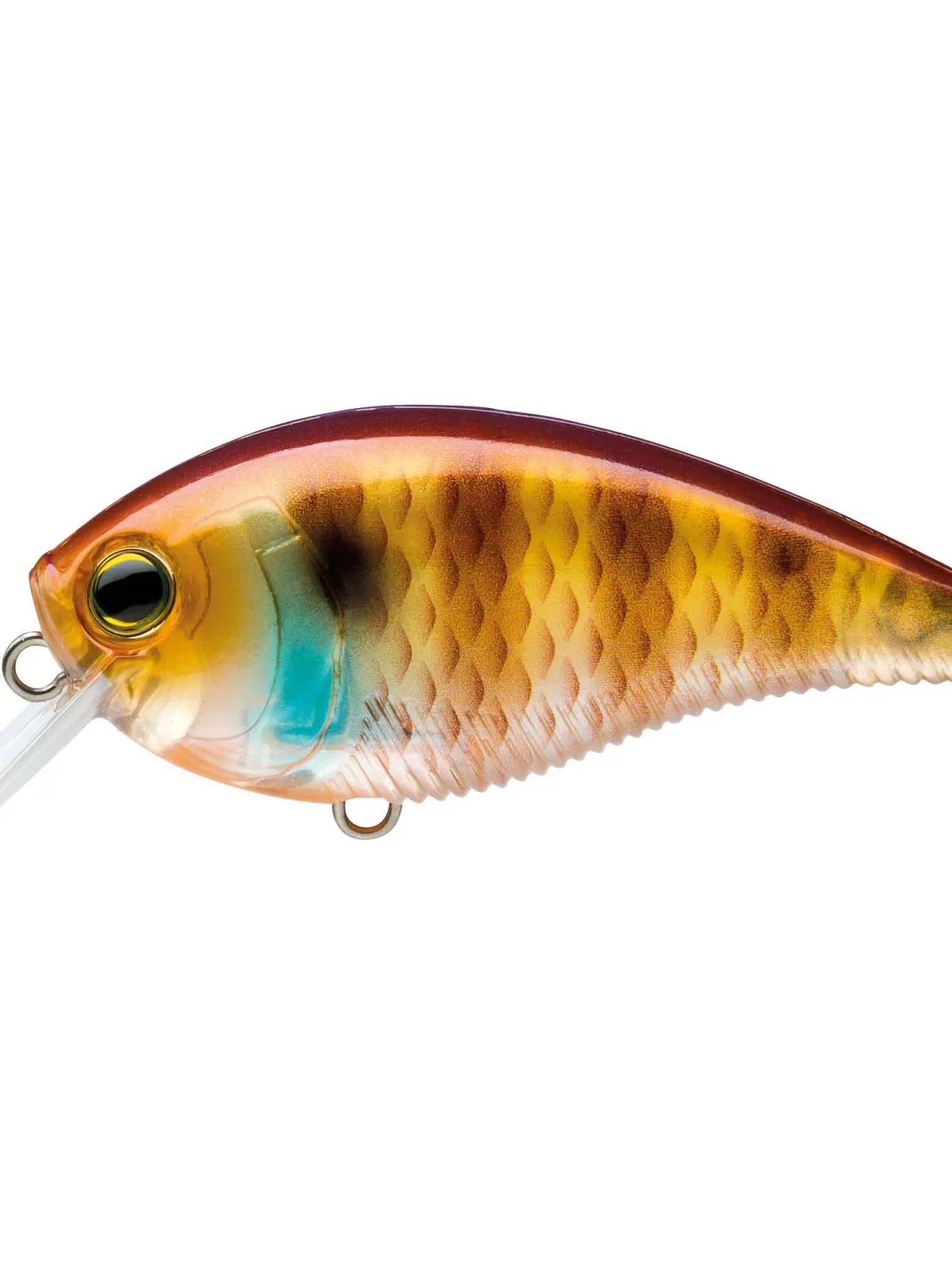 3DB CRANK SQUARE BILL (F) - 60 mm