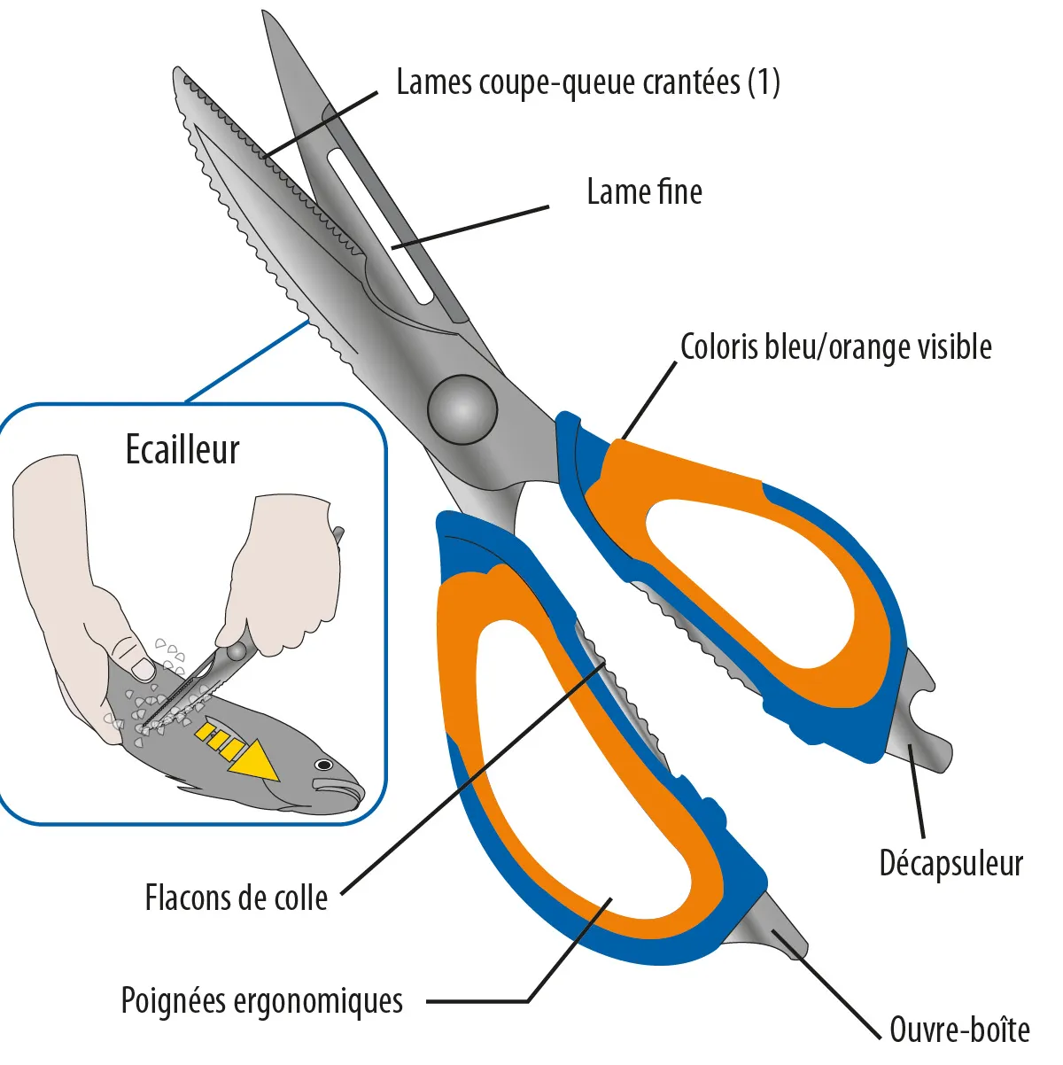 21 CM STAINLESS STEEL TAIL-CUTTING AND SCALING SCISSORS