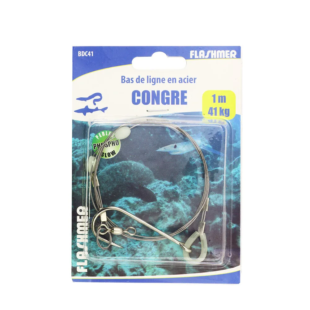 BAS DE LIGNE A CONGRE ACIER