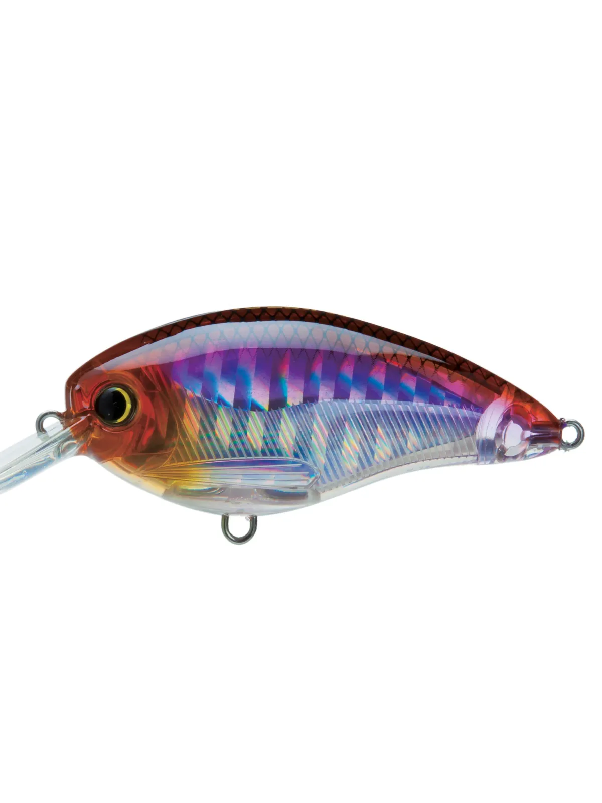 3DS CRANK SR (SP) - 50 mm