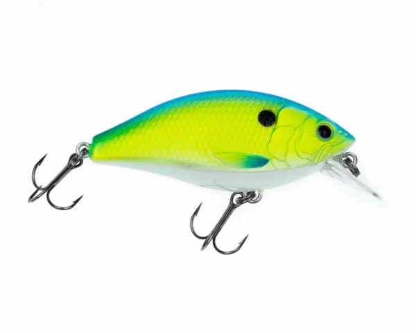 Produit Rad Squarebill Image
