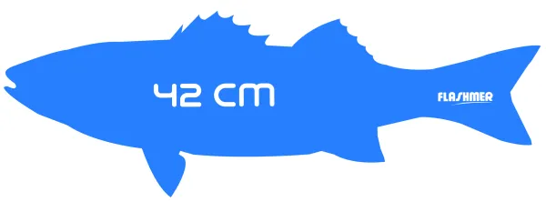 Produit AUTO-COLLANT FLASHMER BAR 42 CM BLEU Image