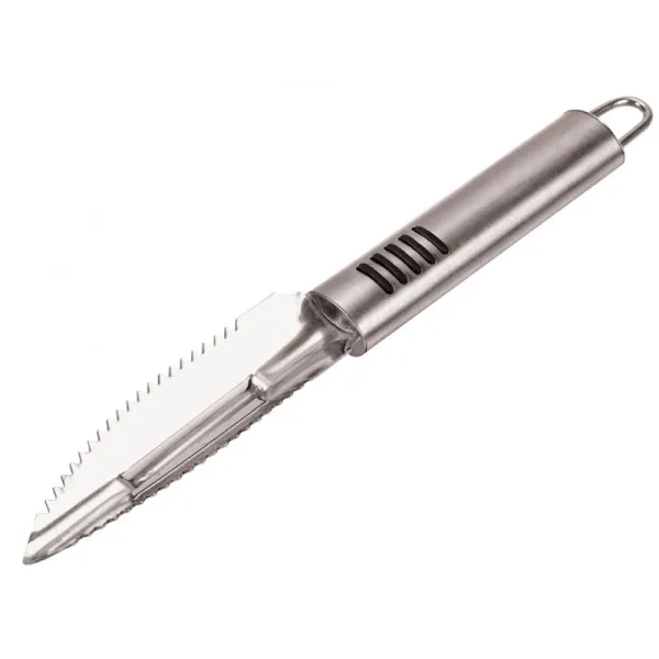 Produit ECAILLEUR INOX 22 CM Image