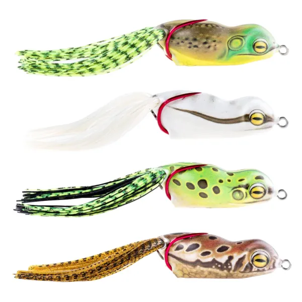 Product Launch Frog Image