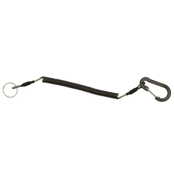 Produit SPRING LEASH Image