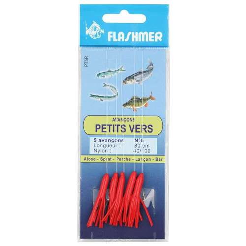 AVANÇONS PETITS VERS - 5 HAMEÇONS