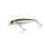 3D INSHORE FINGERLING (SP) - 100 mm