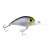 Rad Crankbait Rad Crankbait