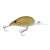 Rad Crankbait Rad Crankbait