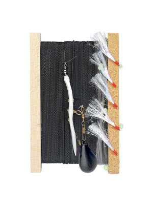 LIGNE DE TRAINE COTE OUEST