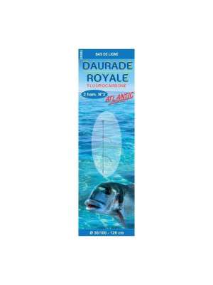 MONTAGE DAURADE ROYALE ATLANTIC RENFORCÉ