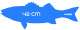 AUTOCOLLANT - FLASHMER - 420x150 mm - BAR42