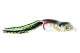 SCUMFROG LAUNCH FROG 21 g BLUE GILL