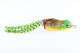 SCUMFROG LAUNCH FROG 21 g BULLFROG