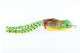 SCUMFROG LAUNCH FROG 21 g BULLFROG