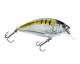 Rad Squarebill 6,5 cm Streak Shad
