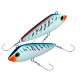 BONITA - 21 cm - BLUE MACKEREL (CBM)