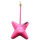 PLOMB ETOILE ROSE 80g