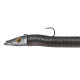 SNAK'EEL - 230MM-30GR - ELECTRIC EEL
