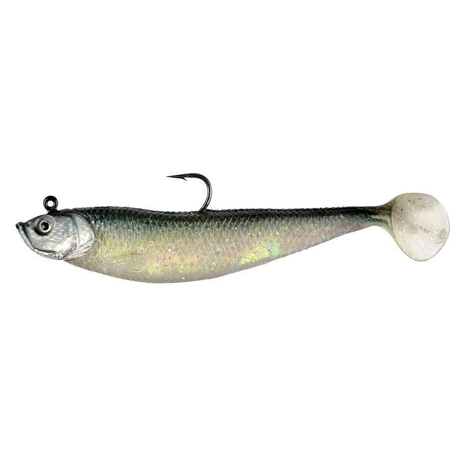 Le MEGA Shad