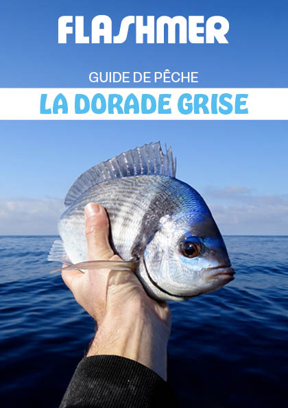 La Dorade Grise