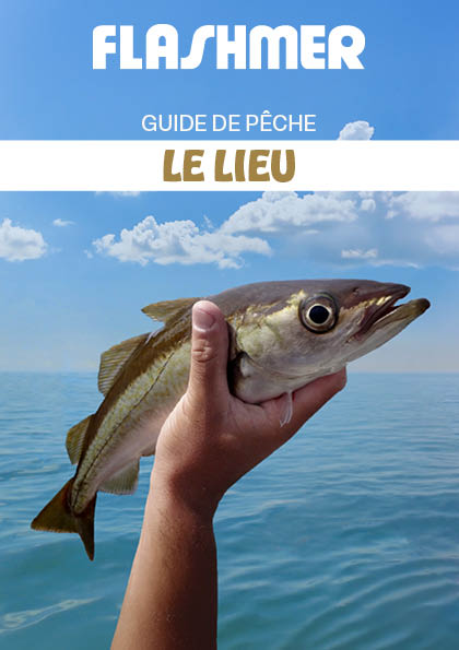 Le Lieu