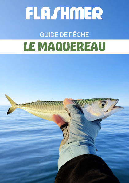 Le Maquereau