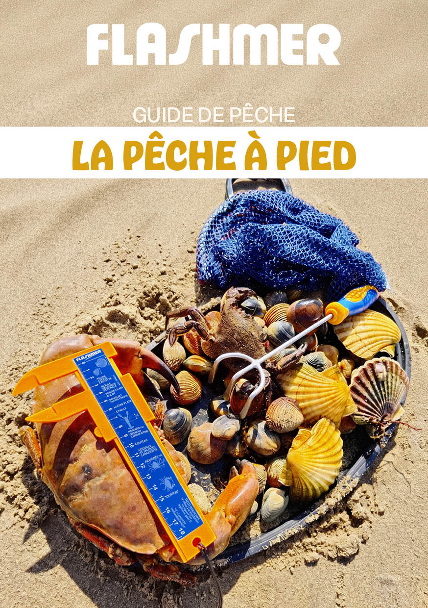 La Pêche à Pied