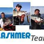 Team Flashmer