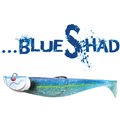 Blue Shad 8 cm, une nouvelle taille qui change tout !