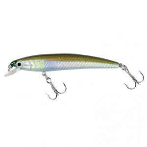 pin-s-minnow