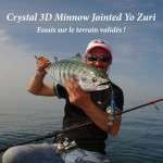 Crystal 3 D Minnow Jointed Yo-Zuri : Essais sur le terrain