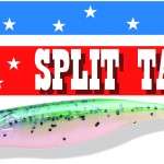 Split tail Bass assassin :un finess puissant !