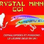 Crystal Minnow Egi : le leurre deux en un !