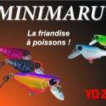 Minimaru : la friandise à poissons !