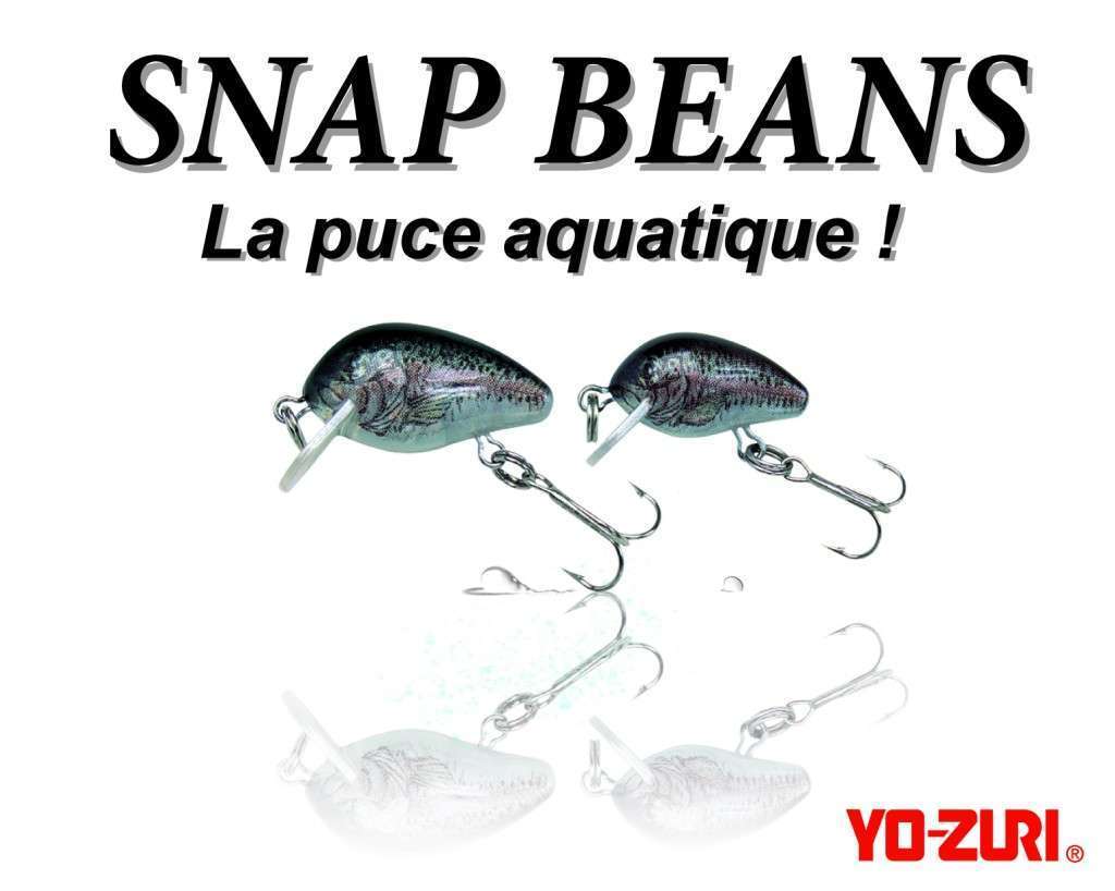 Snap Beans - La puce aquatique !