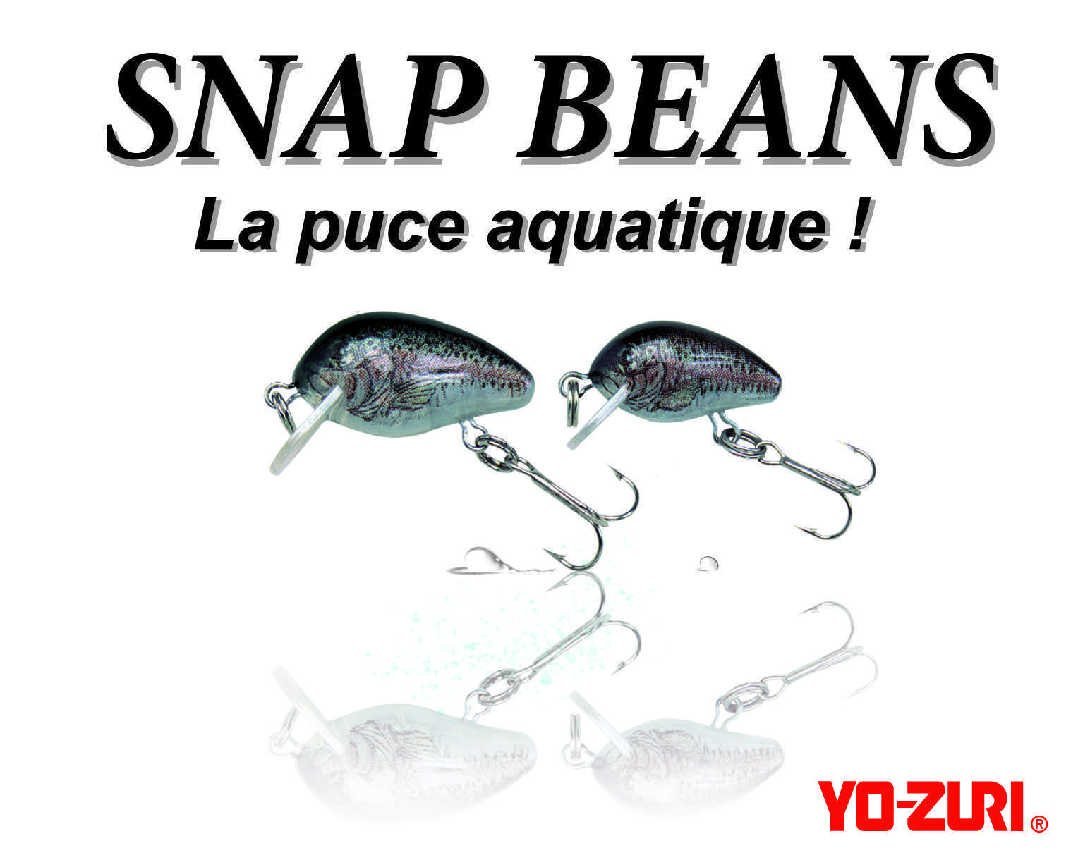 Snap Beans Yo-Zuri : la puce aquatique ! - Blog Flashmer