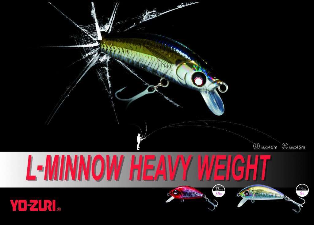 L minnow essai 3