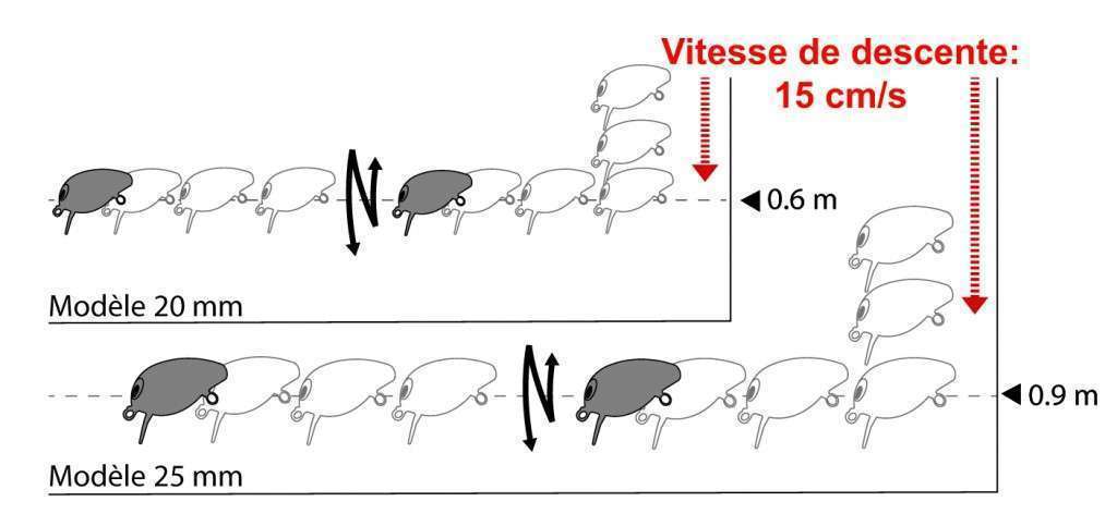 Vitesse de descente du Snap Bean