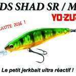 3DS Shad SR / MR : les petits jerkbaits ultra réactif !