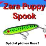 Zara Puppy Spook Heddon : l’arme secrète !