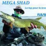 Méga Shad Flashmer : le top pour le brochet !