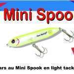 Bars au Mini Spook en light tackle