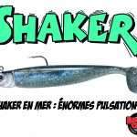 Shaker en mer : énormes pulsations !