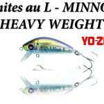 Test du L-Minnow Heavy Weight sur les bonites