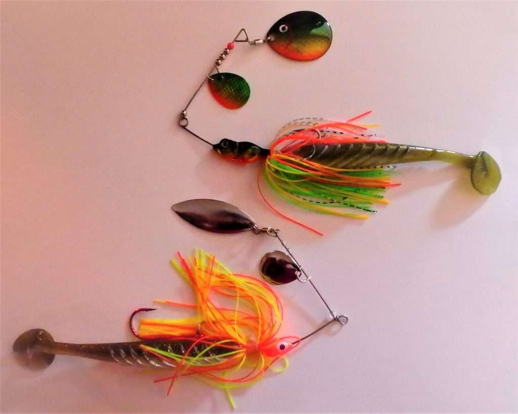 Spinnerbait et shad : le « pattern Christie » ! - Blog Flashmer