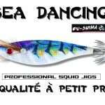 Test de la Sea Dancing Fu-Shima